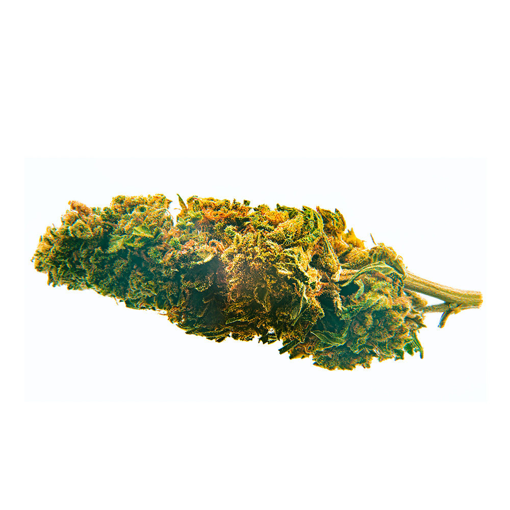 CBD Bee Blueberry 3 gr. - Imagen 2