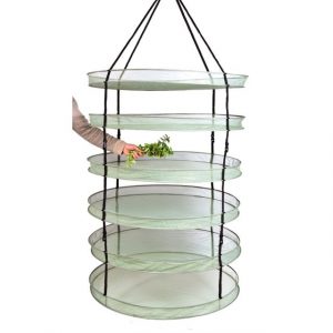 Secador Dark Box Dryer