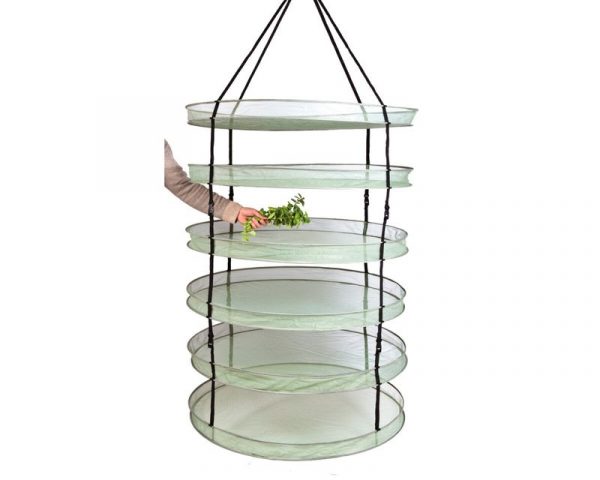 Secador Dark Box Dryer