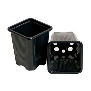 Maceta Cuadrada Negra 7 x 7 x 8 cm. / 0.23 lt. - 100 ud.