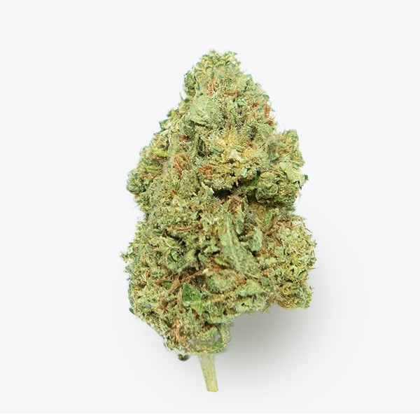 Cañamo Cbd Gorilla Grillz G.House Gelato - Imagen 2